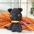 Cat Crochet Pattern Amigurumi Cute Toy