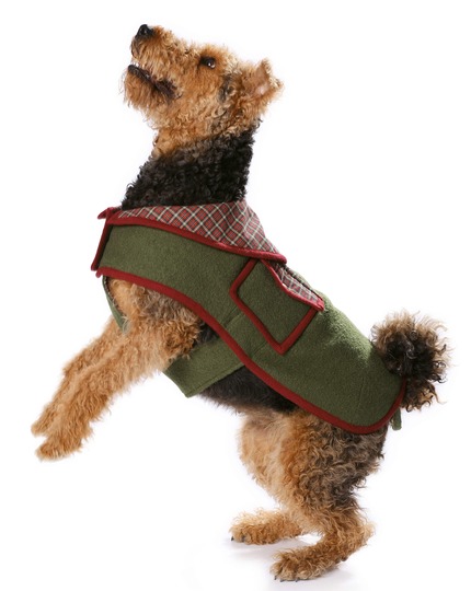 burda Schnittmuster Brit Chic Hundemantel #7752D Gr. S-L