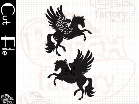 Plotterdatei, Schnittdatei Pegasus