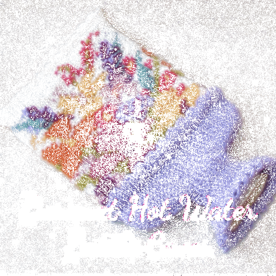 Bouquet Hot Water Bottle Cover Knitting Pattern - Image 5