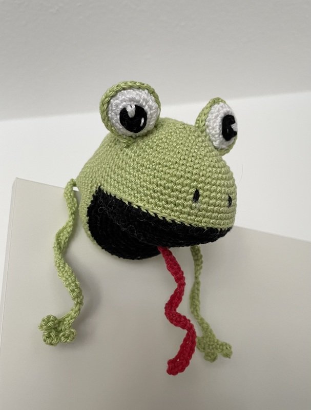 Häkelanleitung Frosch Türstopper - Bild 2