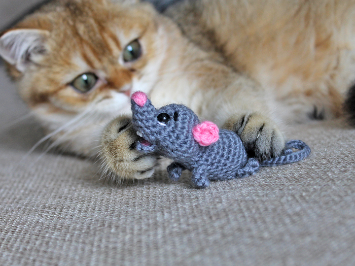 A mouse for a kitten