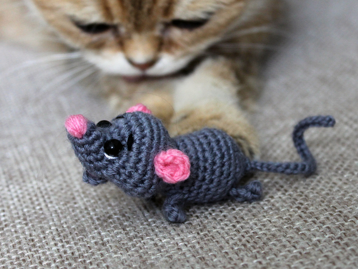 A mouse for a kitten