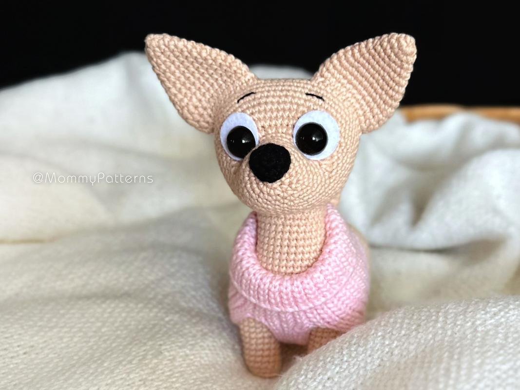 Chihuahua