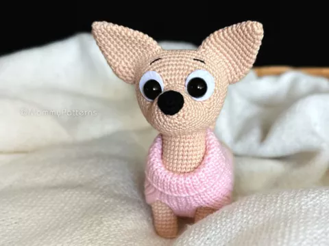 Chihuahua Dog