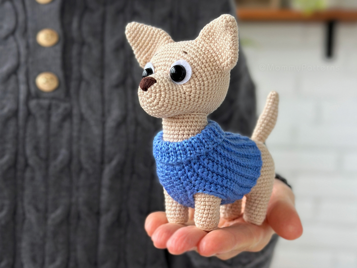 Chihuahua