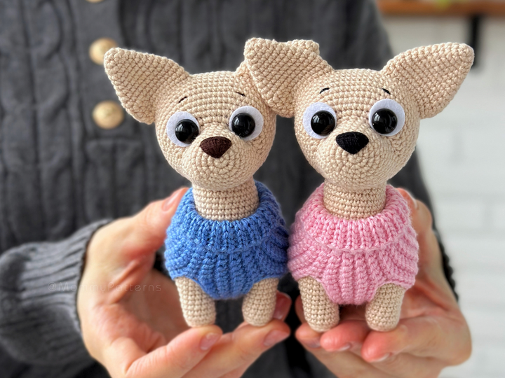 Chihuahua