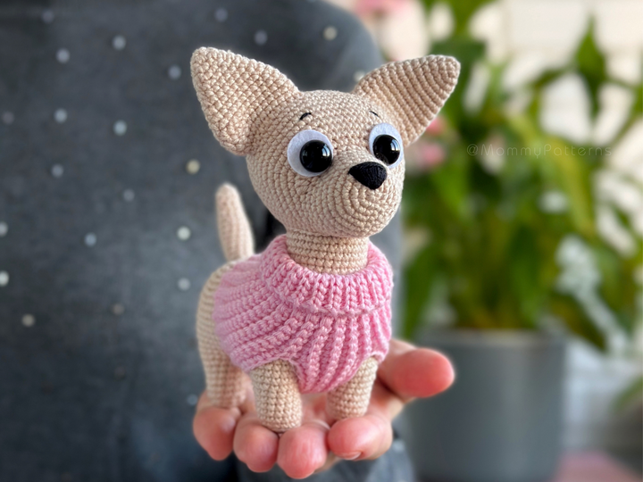 Chihuahua