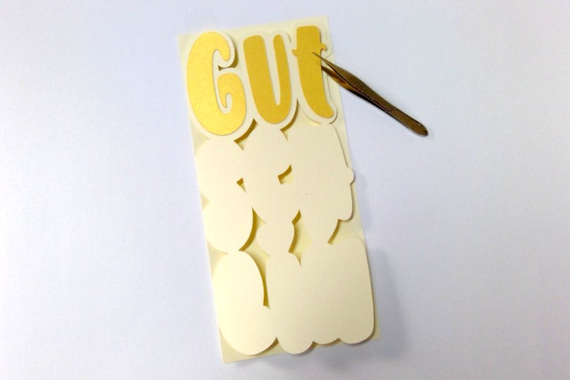 Karte Gutschein Plotterdatei SVG DXF