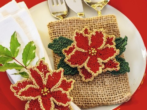 Weihnachtsstern häkeln