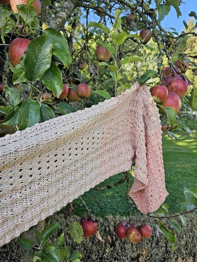 Häkelanleitung Schal Annag