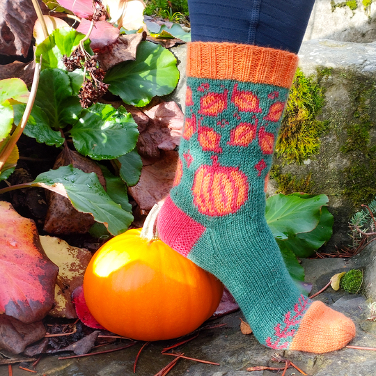 Panda-Socke Nr.14 Kürbiszeit