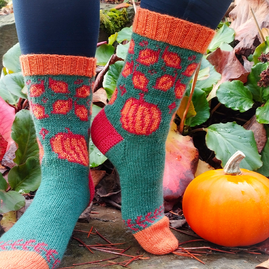 Panda-Socke Nr.14 Kürbiszeit