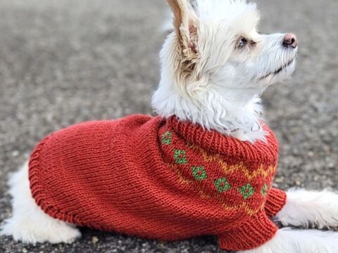 Strickanleitung Country Woof