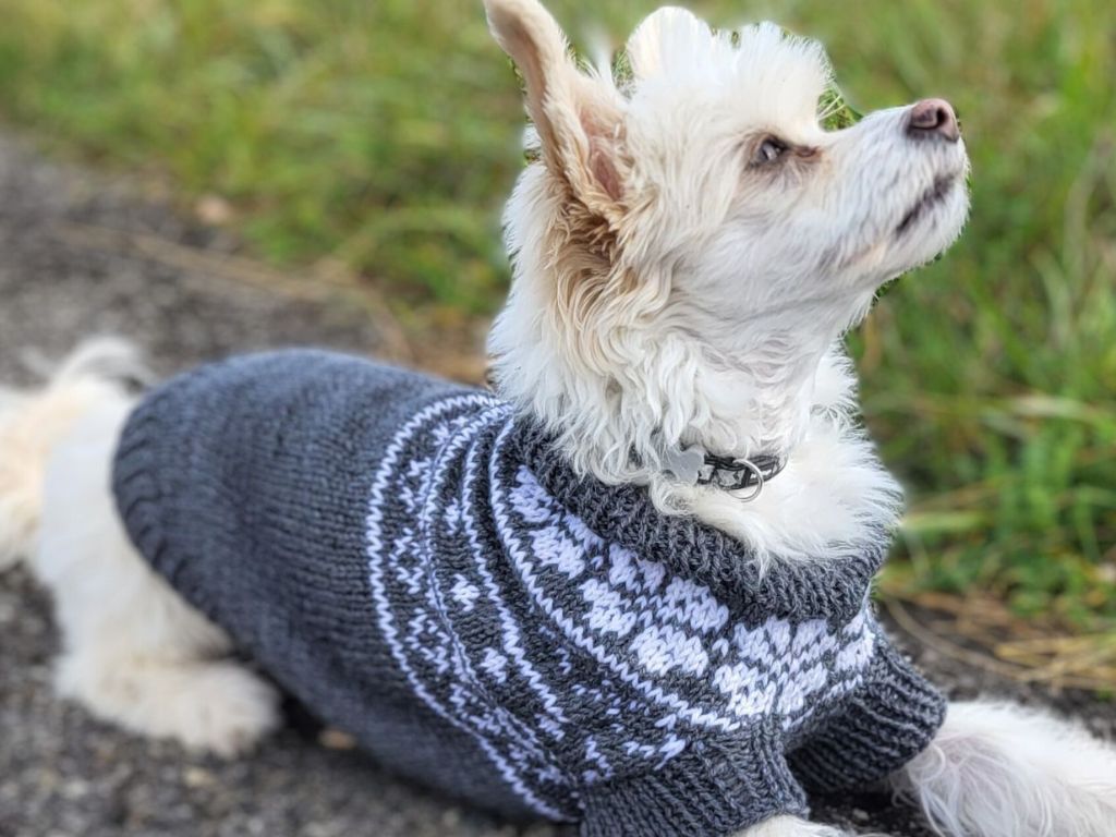 Strickanleitung Hundepullover Nordic Woof