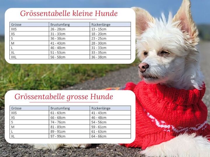 Strickanleitung Hundepullover Nordic Woof