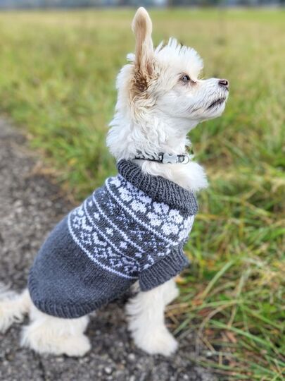 Strickanleitung Hundepullover Nordic Woof