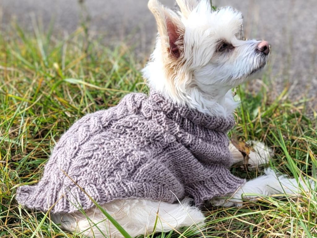 Strickanleitung Hundepullover Tweed Woof