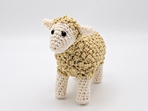 Farm Animals - Sheep