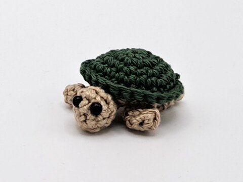 Water Animals - Turtle