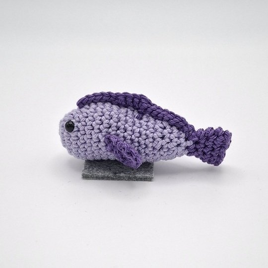 Water Animals - Fish I