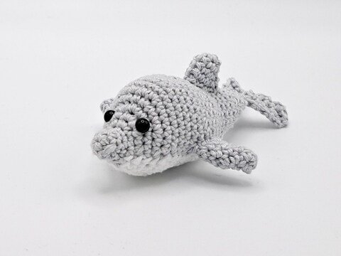 Water Animals - Dolphin