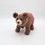 Wild Animals - Bear