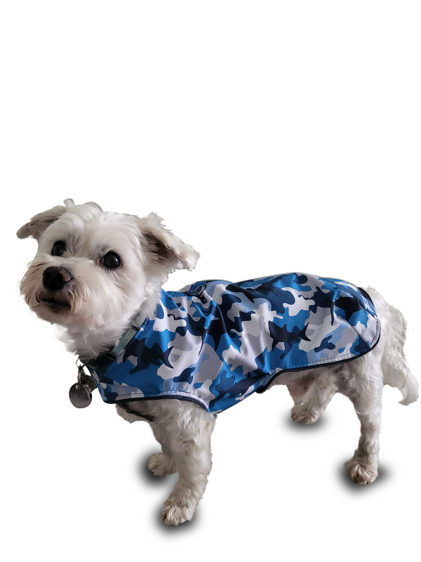 eBook Allwettermantel Hunde