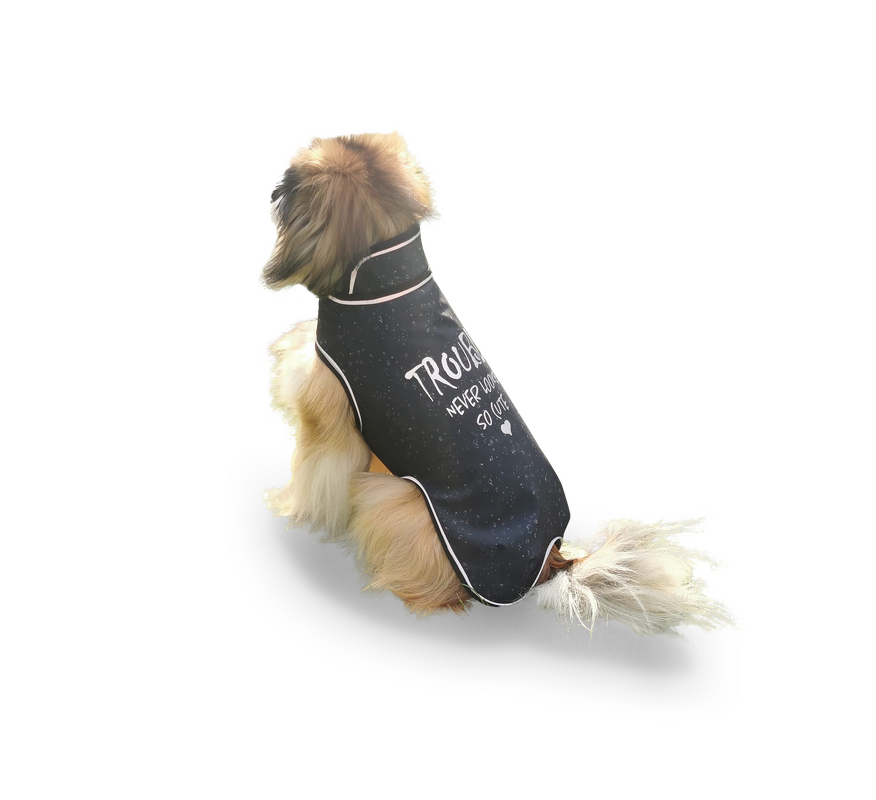 eBook Allwettermantel Hunde - Bild 3