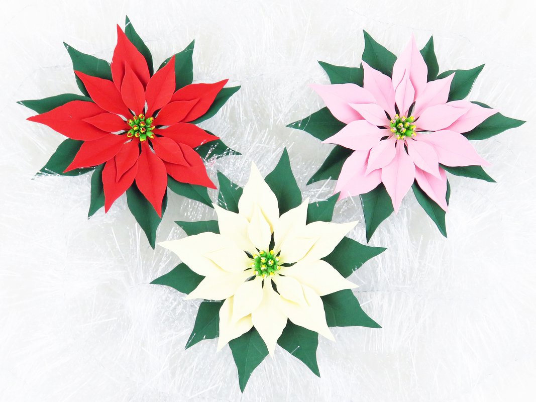 Weihnachtsstern aus Fotokarton – Bastelanleitung und Vorlagen