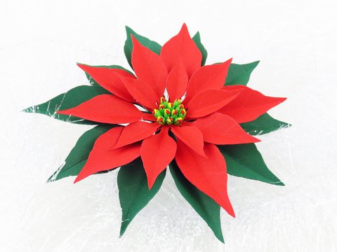 Weihnachtsstern aus Fotokarton – Bastelanleitung und Vorlagen