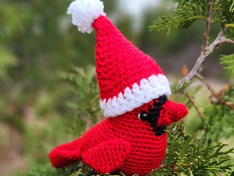 Roter Kardinalvogel mit Santa-Hut