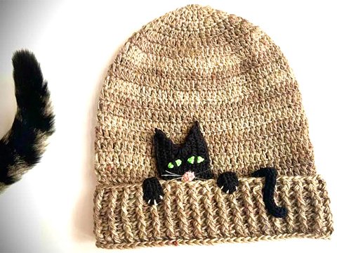 Mütze kleine, Freche Katze