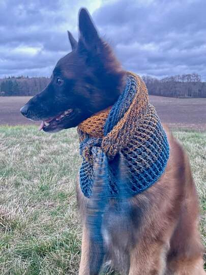 Naomi Dreieckstücher 2 in 1 Häkelanleitungen