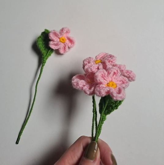 Forget me not Flower