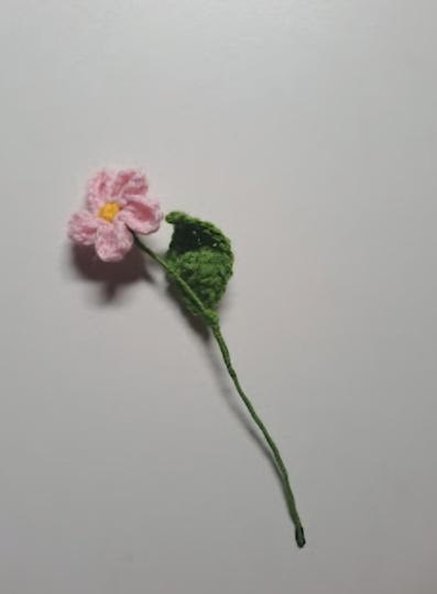 Forget me not Flower