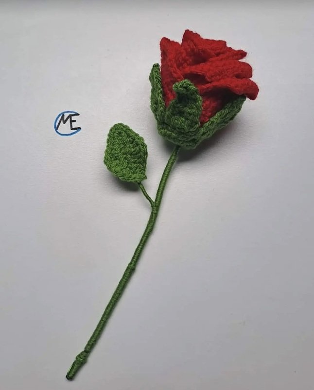 Long roses - Image 3