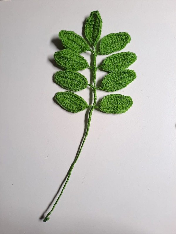 Cut foliage - Image 2