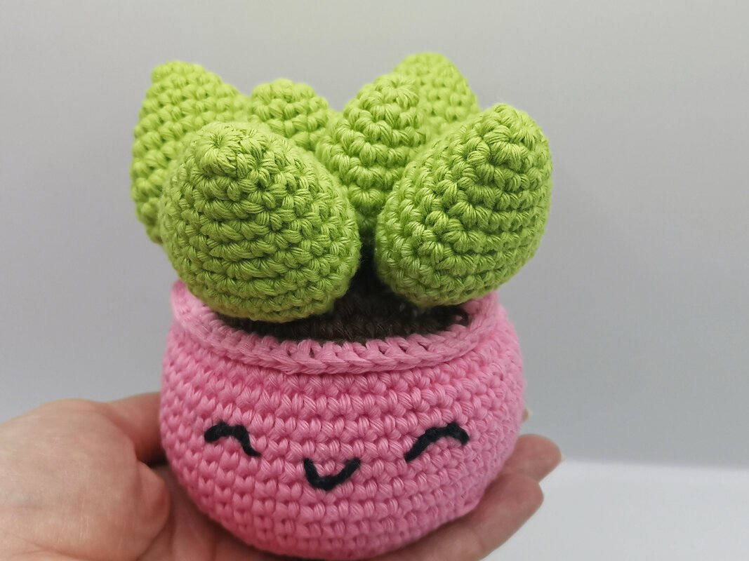 Gehäkelte grüne Sukkulente in rosa Topf mit lächelndem Gesicht, gehalten in einer Hand