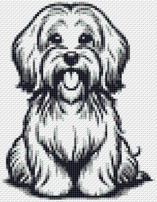 Cross stitch pattern Havanese Buddy, embroider a cute little dog - Image 5