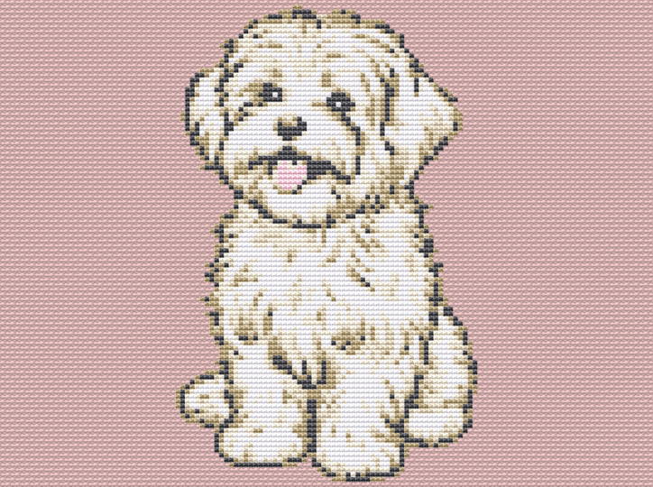 Cross stitch pattern Maltese Pepper, cute dog to embroider yourself
