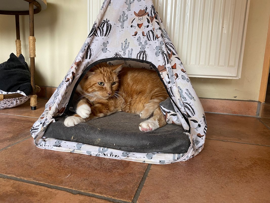 Katzenzelt selber nähen - Bild 2