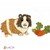 Guinea Pig crochet pattern applique