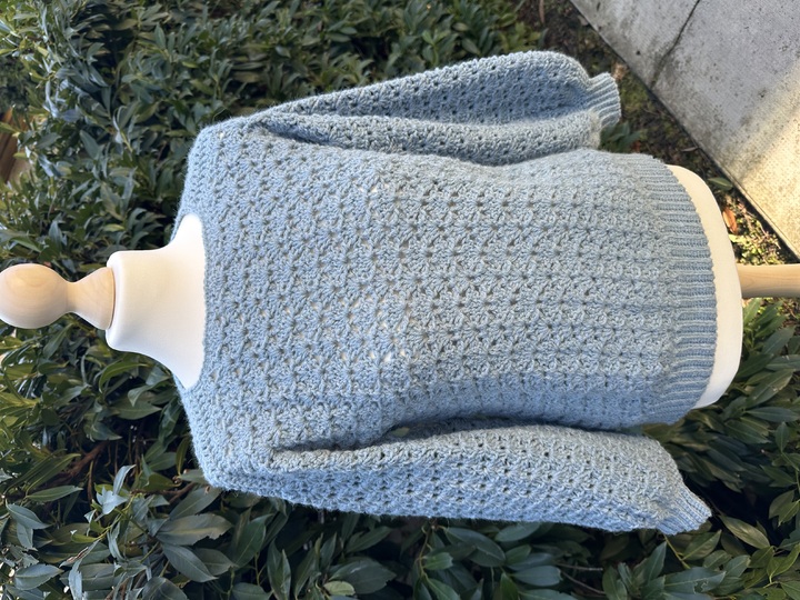 Frozen Thistle Sweater