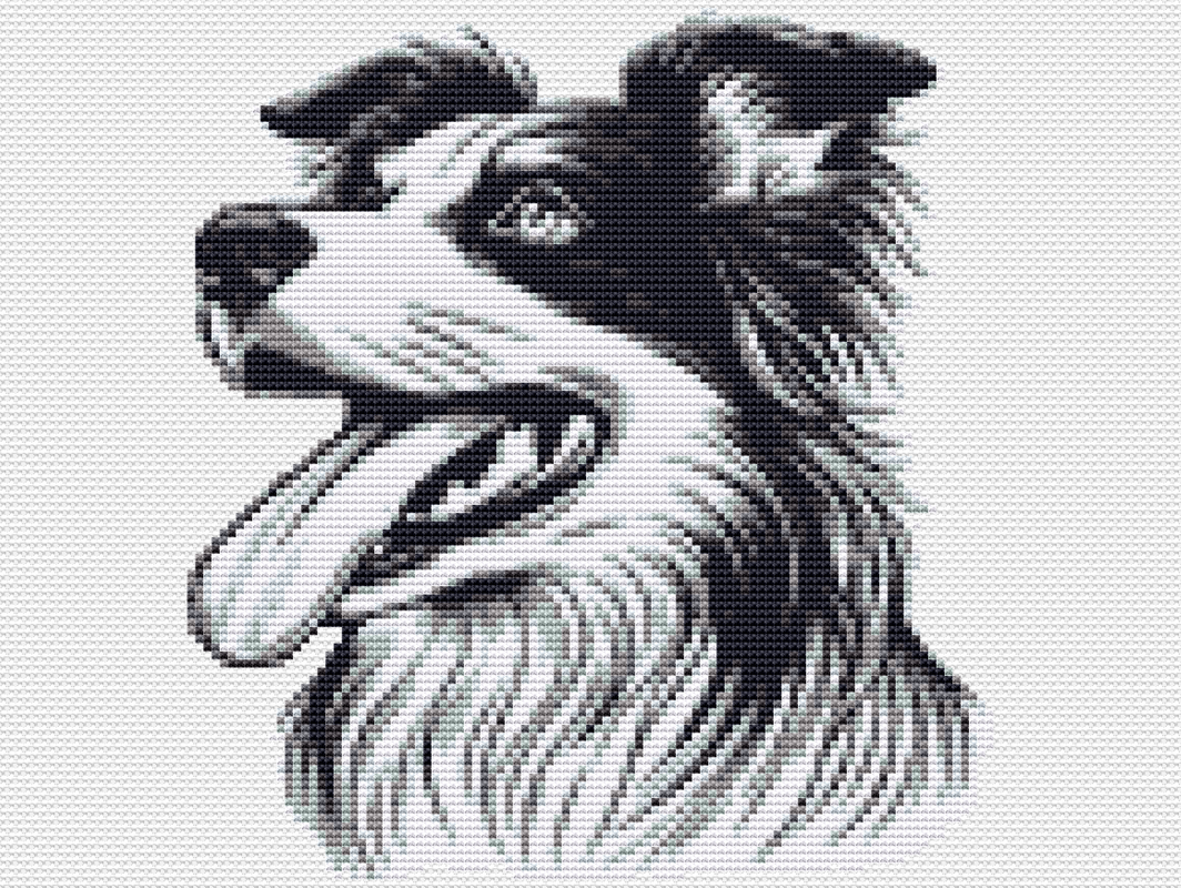Kreuzstichvorlage Border Collie als PDF, sticke ein schönes Hundemotiv
