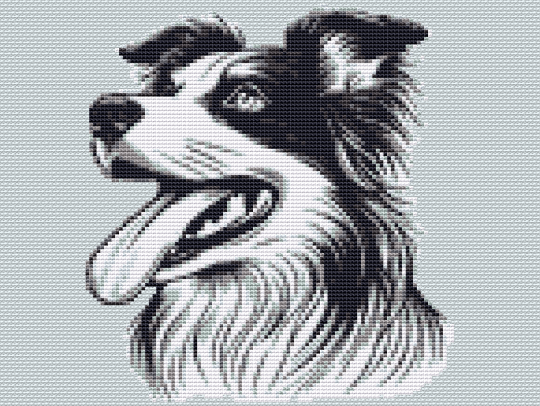 Cross Stitch Pattern PDF Border Collie, embroider a beautiful dog motif - Image 5