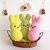 No Sew Mini Easter Bunnies - Crochet Pattern for Beginners