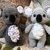 Häkelanleitung Koala Kalli