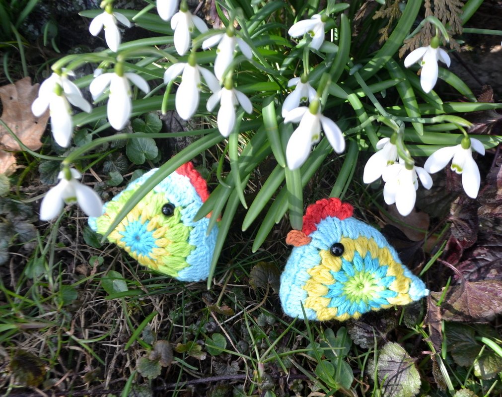 Zwei handgehäkelte bunte Küken mit roten Kämmen zwischen weißen Schneeglöckchen im Gras