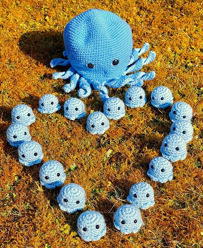 Häkelanleitung für ein Oktopusmemory